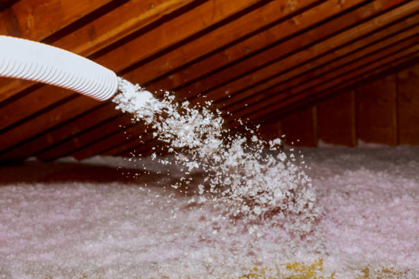 Best Commercial Insulation in Pine Island Center, FL